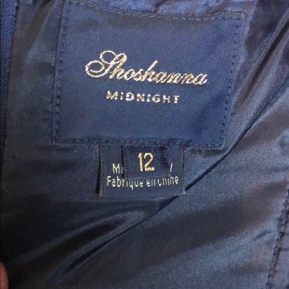 *SOLD* Shoshanna Paladina High Low Dress - Picture 7 of 8